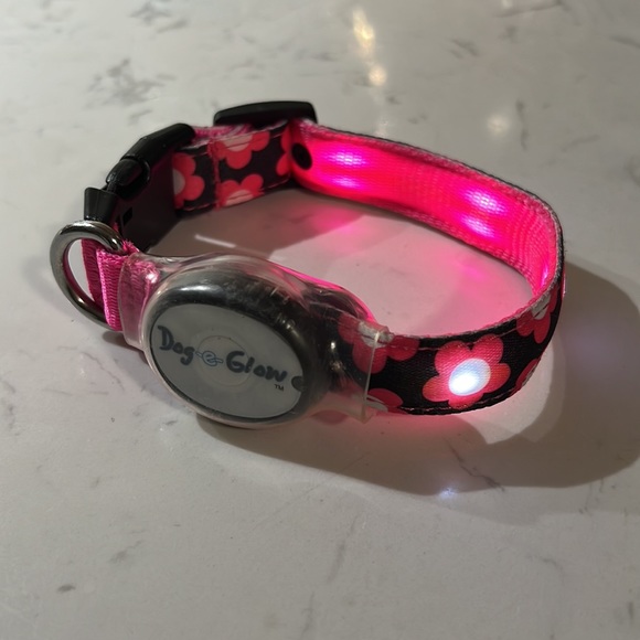 Dog Dogeglow Collar Poshmark